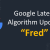 Cách khắc phục án phạt từ thuật toán Google Fred